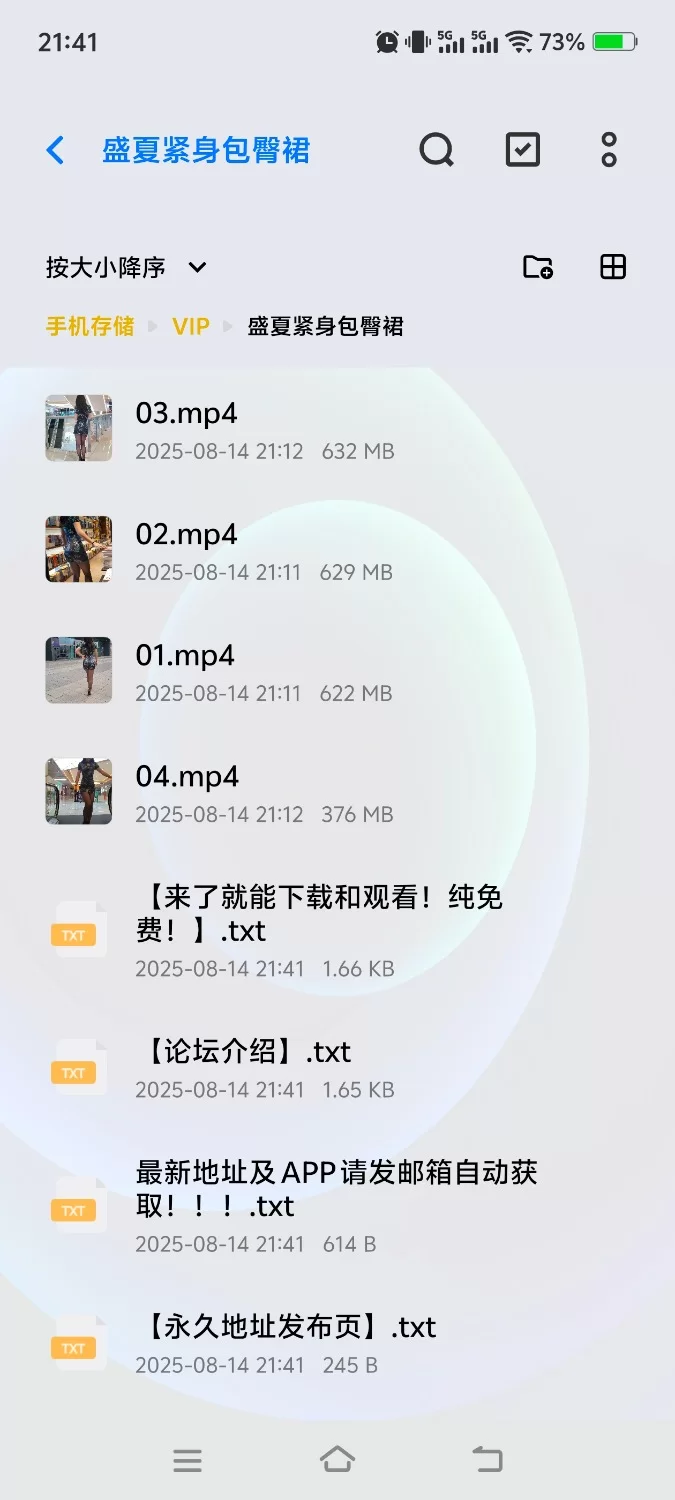 高清无码4K盛夏街拍 跟拍身穿 旗袍加黑丝（素的） [4个视频-2.10GB]