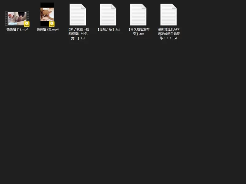 推特薇薇姐足交合集（多合二） [2V-10.0GB]