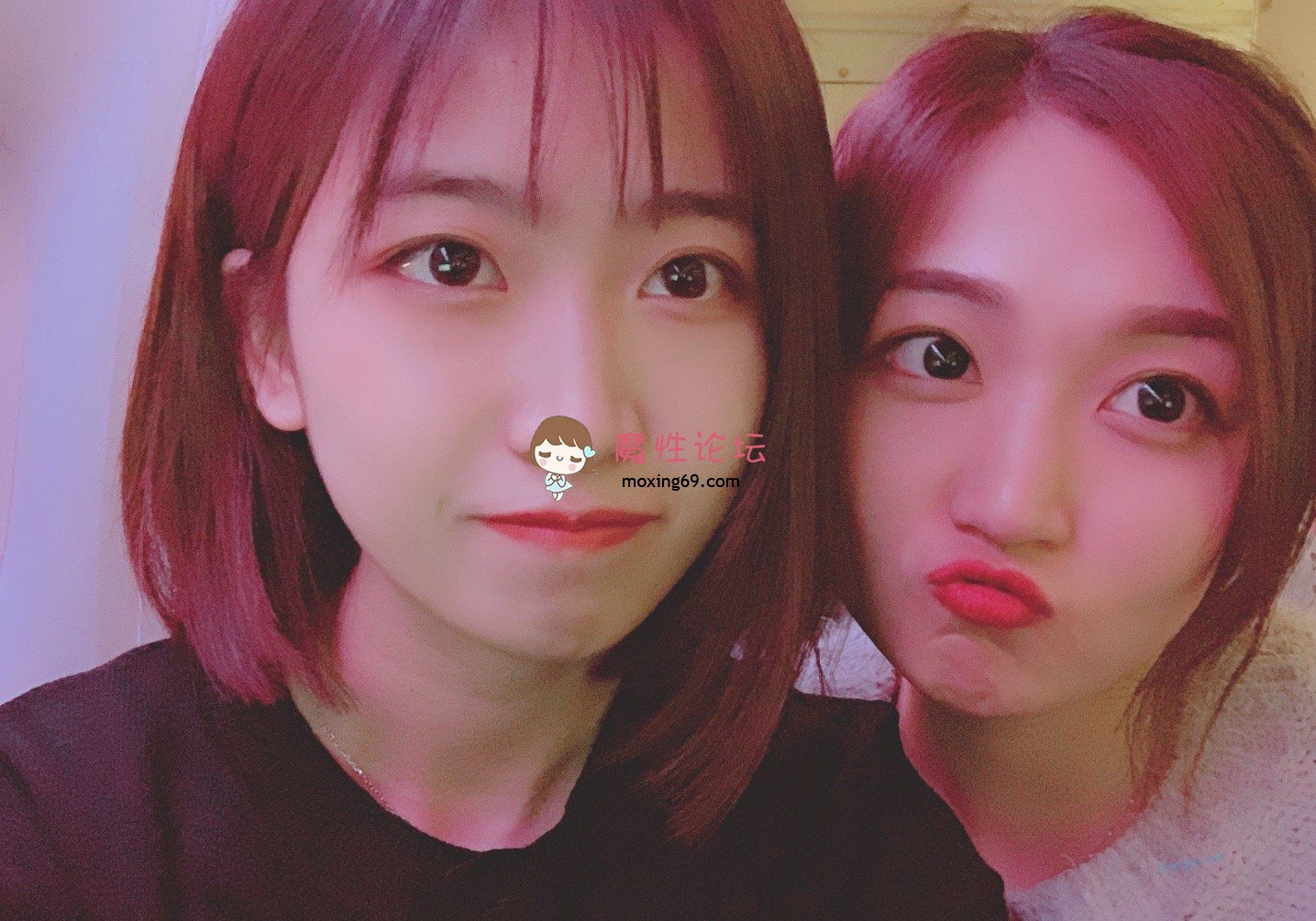 国产泡良达人《胡子哥-胡子大叔》完美露脸真实约炮极品良家性爱甄选