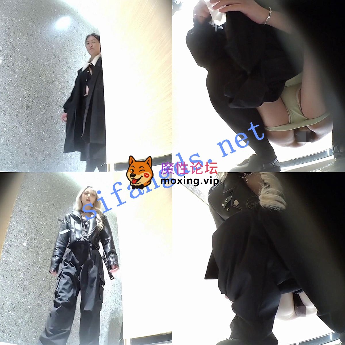 TP❤️《厕拍》高清后拍后拍 没纸巾用手擦逼《1v+2.53G》《百度盘》