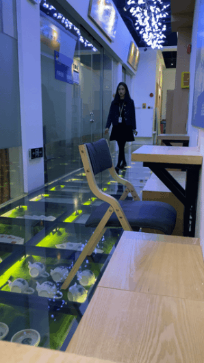 偷拍高颜值舞蹈生B下春光，舞蹈学院手持厕拍艺校舞蹈生日记私拍合集《541V-NP-59G》