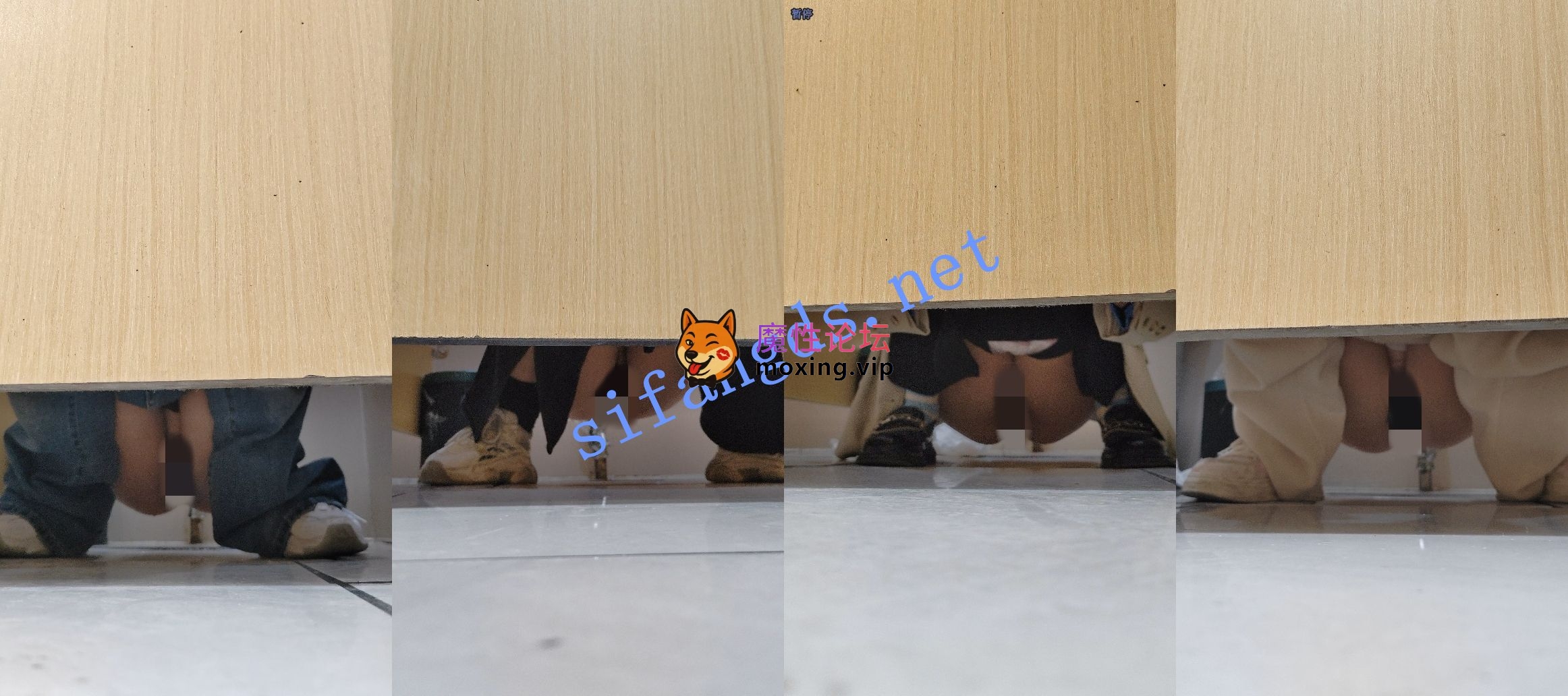 偷拍最新厕拍《跟拍系列二》拍脸拍逼，多场所跟拍，部分清晰《27V +673M-直链》