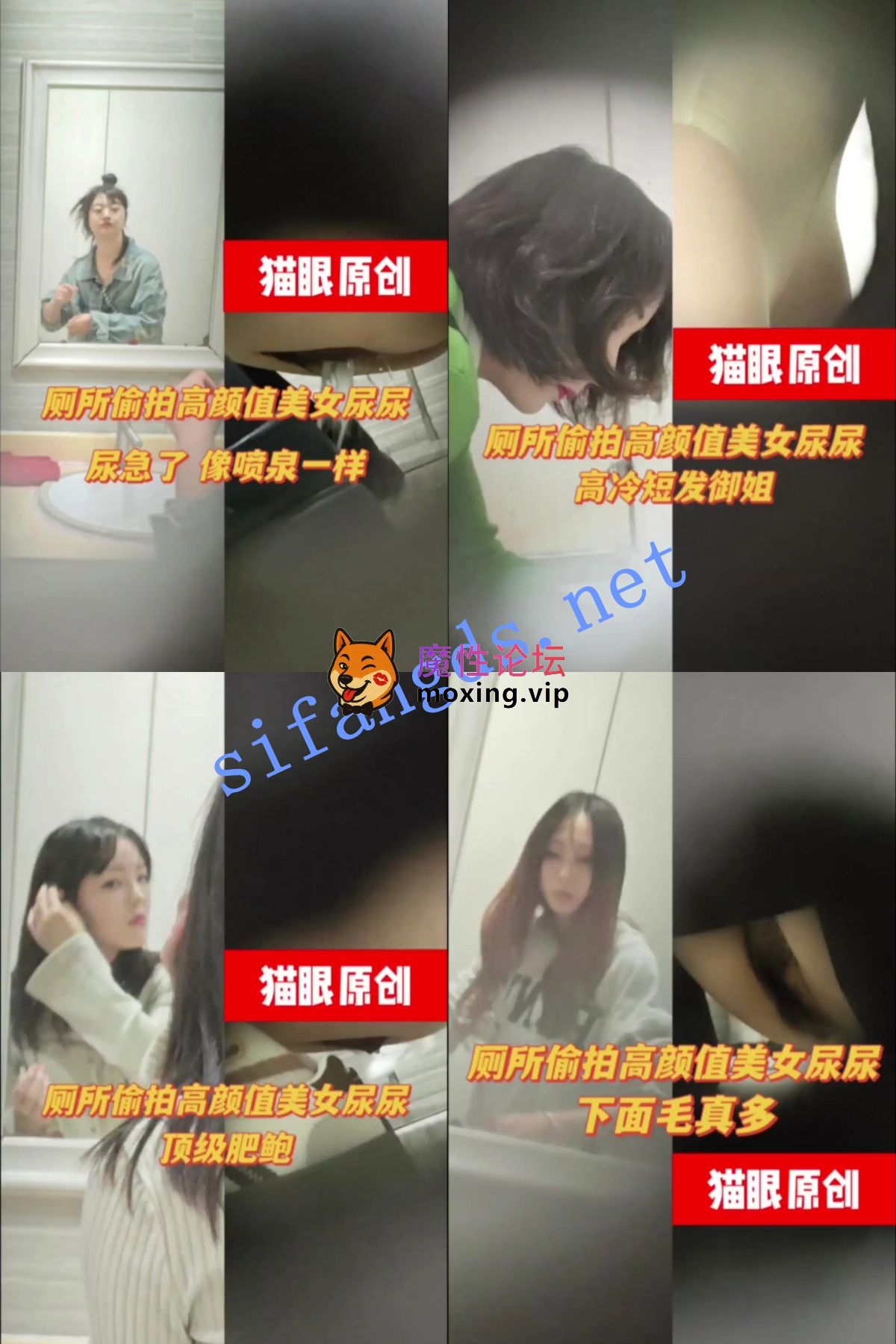 偷拍《猫眼厕拍》 厕所偷拍学生妹 人妻 老师 高颜值美女2《49V+3G-直链》