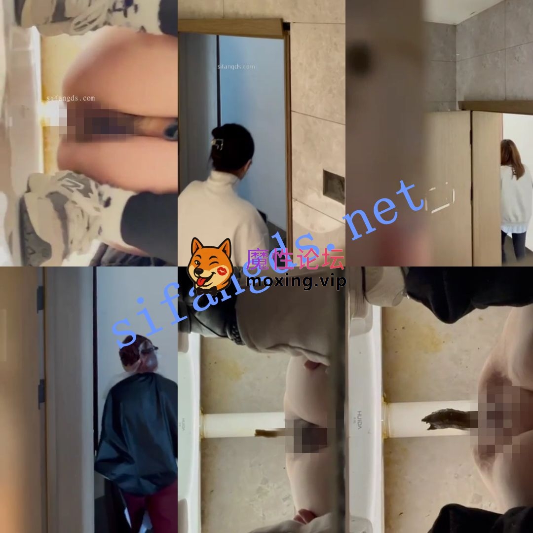 偷拍《厕拍大杂烩》多场景多种拍摄手法合集 《330V+2.7G》《百度盘》