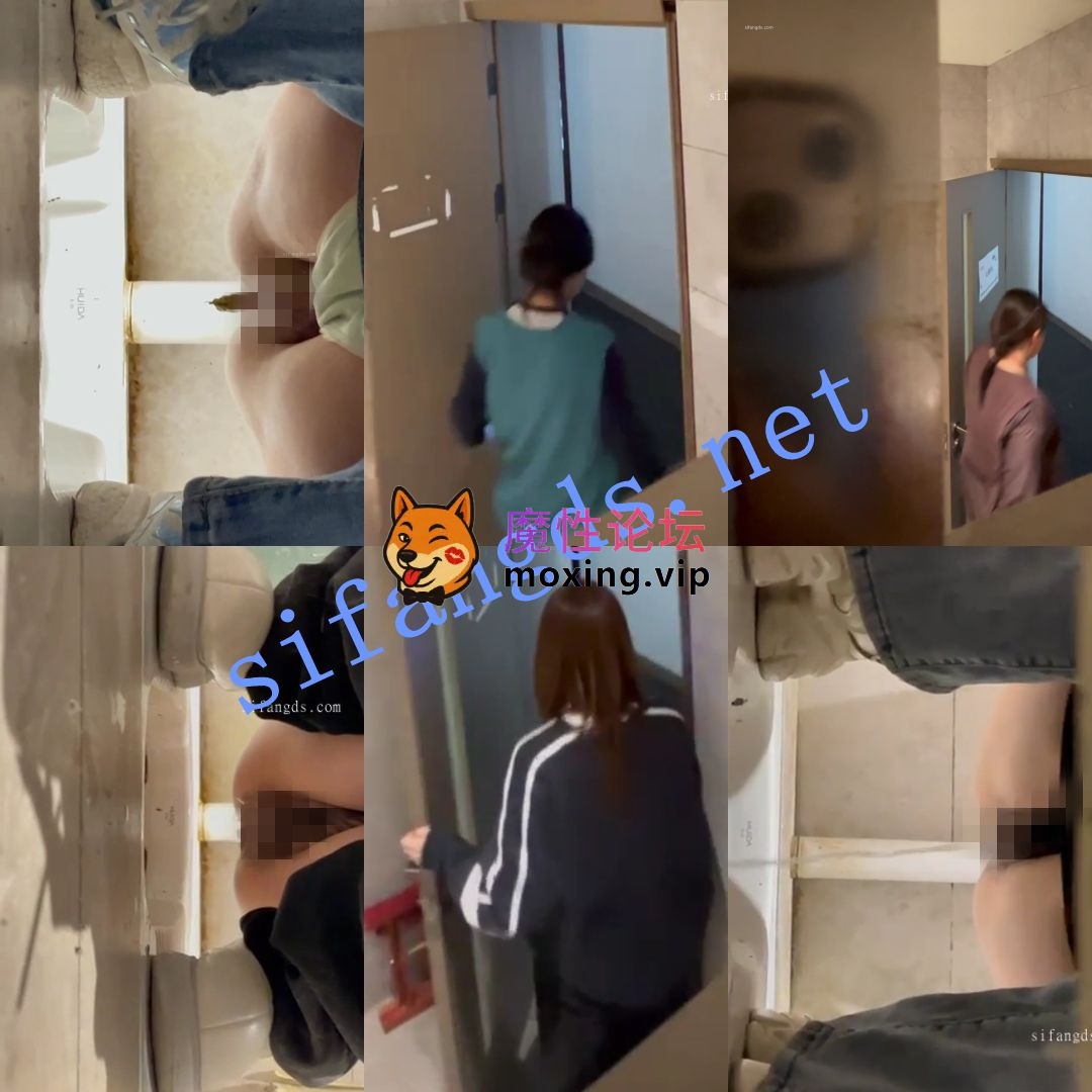 偷拍《厕拍大杂烩》多场景多种拍摄手法合集 《330V+2.7G》《百度盘》