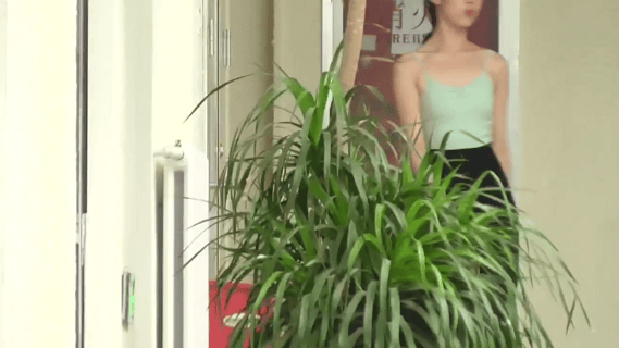 偷拍高颜值舞蹈生B下春光，舞蹈学院手持厕拍艺校舞蹈生日记私拍合集《541V-NP-59G》