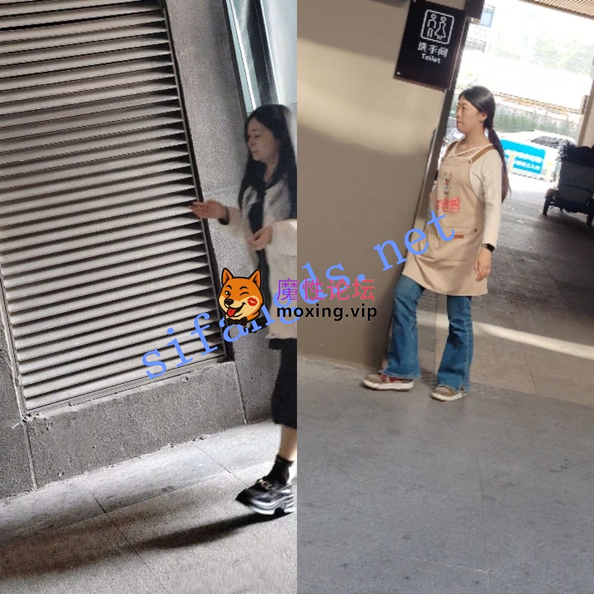 偷拍最新厕拍《跟拍系列二》拍脸拍逼，多场所跟拍，部分清晰《27V +673M-直链》