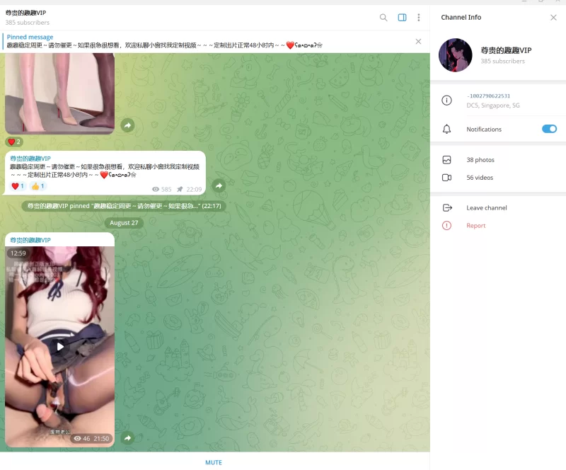 趣趣（猫猫碎冰冰）8月27号最新作 telegram自购 无多余水印 [1V-282MB]