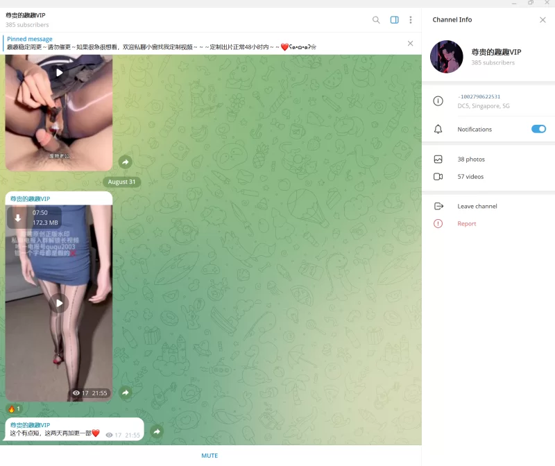 趣趣（猫猫碎冰冰）8月31号最新作 telegram自购 无多余水印 [1v-172MB]