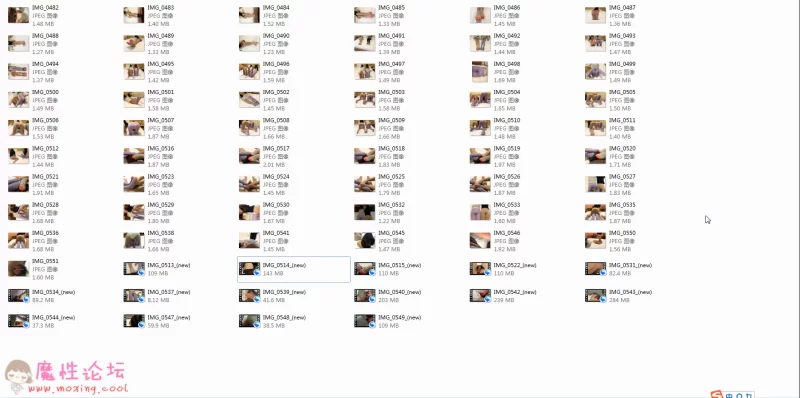 靴下绅士 全集(种子版)《113.56GB》《种子》 [-]