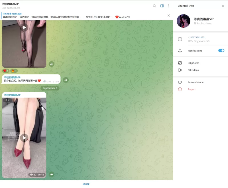 趣趣（猫猫碎冰冰）9月6号最新作 telegram自购 无多余水印 [1v-278MB]