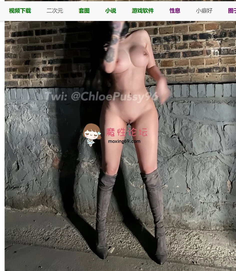 国产自拍反差女神Chloe合集20G [nvnp+20][百度网盘]