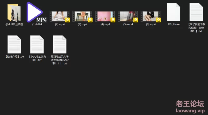 登登来咯视频+图包 [6v+32p-1.35GB]