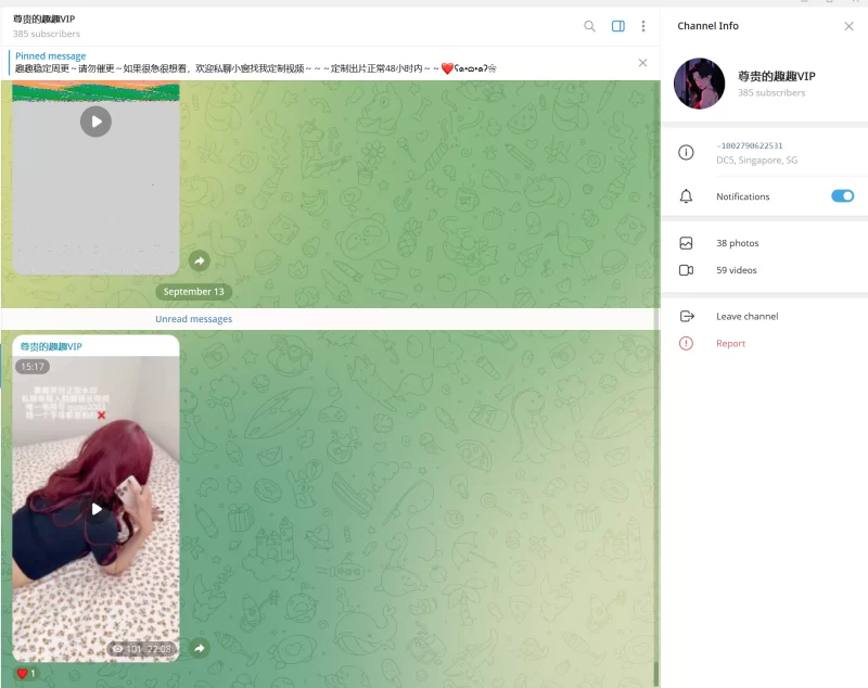 趣趣（猫猫碎冰冰）9月13号最新作 telegram自购 无多余水印 [1v-336MB]