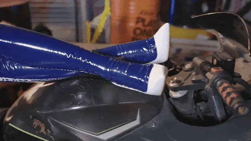 香草喵露露_信浓 赛车 [12P+1V] [12P+1V-1.2g]