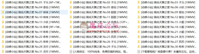 [自行打包][动感小站]锦尚天舞之星全套打包[208P 31V/21G][百度云] [-]