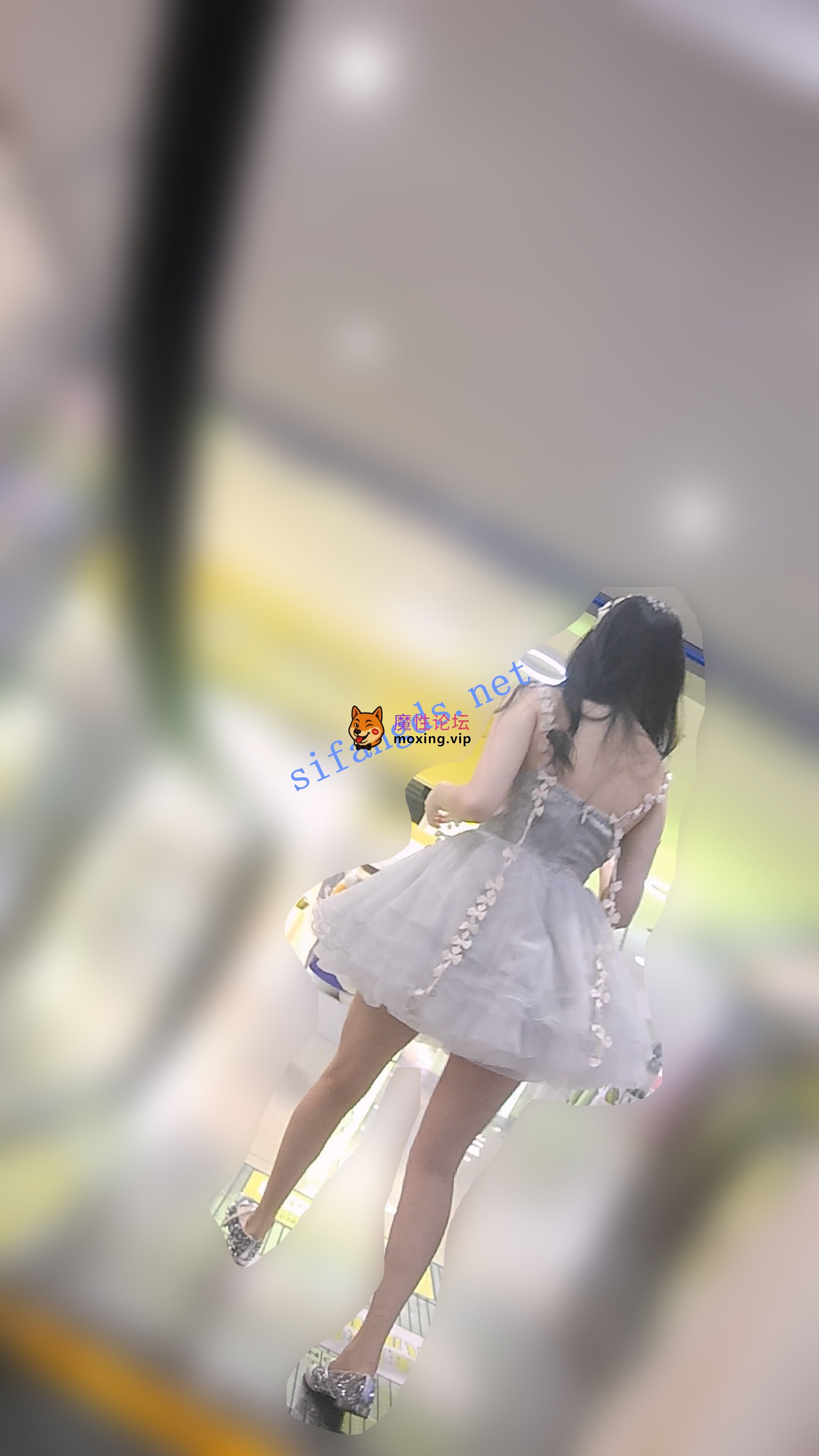 偷拍『D·D』-126-两个浅蓝蓬蓬裙，一个粉色卡通内，一个淡紫内《1V+543M-直链》