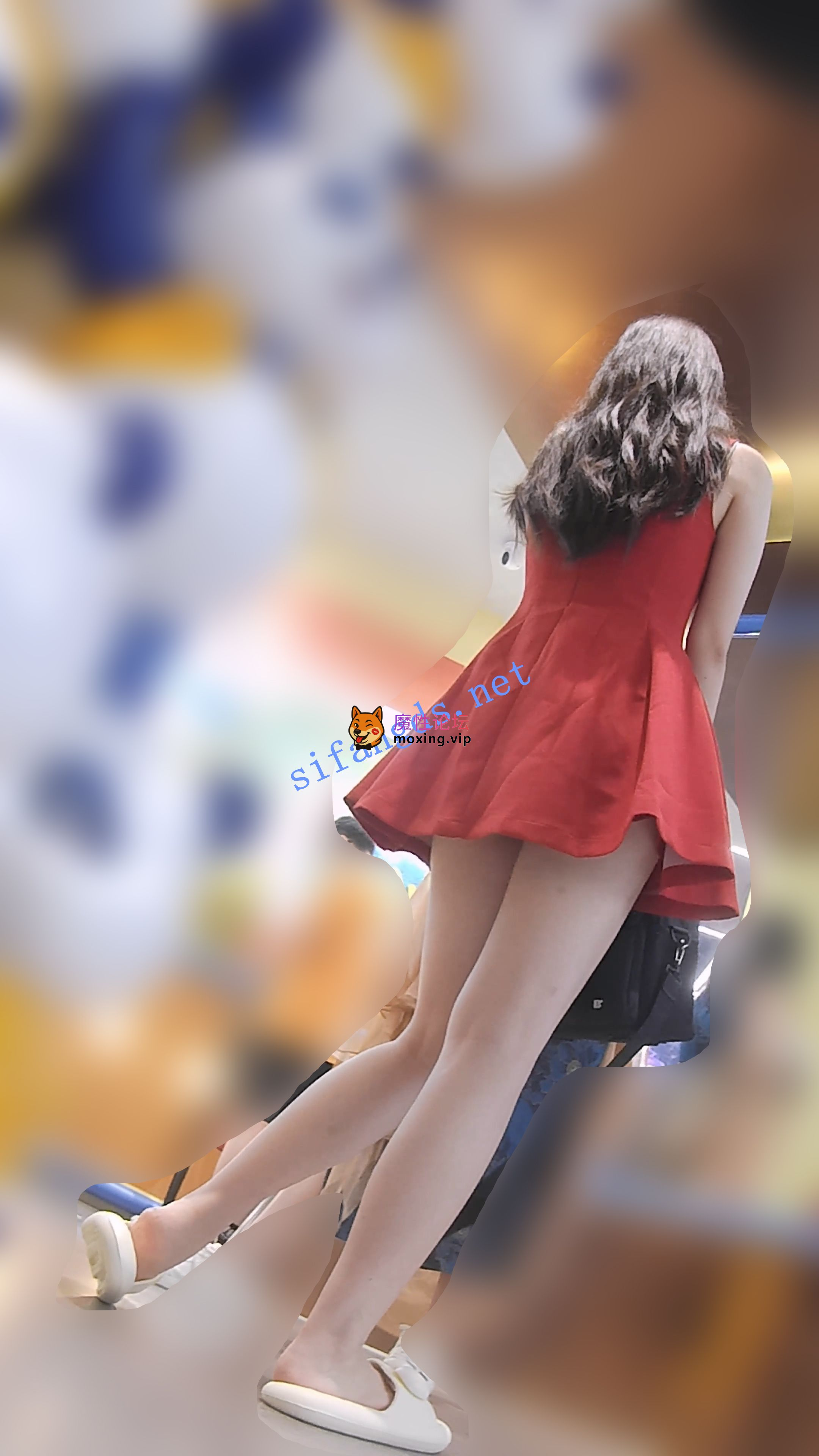 TP『D·D』-139-火红玫瑰裙，时尚女郎，细长腿，开档半透明内《1v+785M》《百度盘》