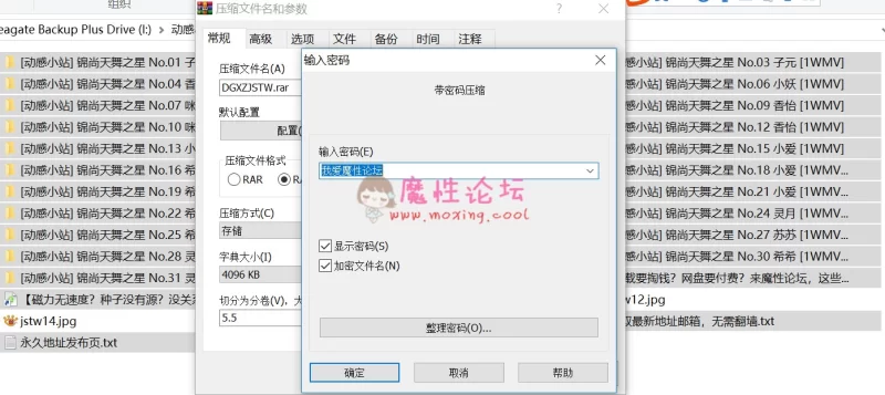 [自行打包][动感小站]锦尚天舞之星全套打包[208P 31V/21G][百度云] [-]