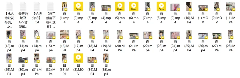 白丝合集自整理 [38v-4.63GB]