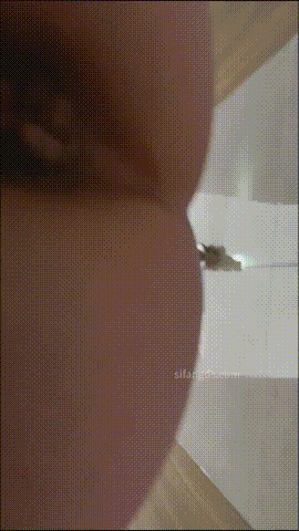 偷拍全网首发《顶级厕拍》手持贴逼抄底大学生舞蹈生全是嫩逼「某房原版」合集《22.3G+165V》百度