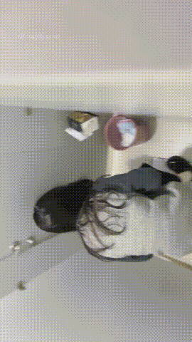 偷拍全网首发《顶级厕拍》手持贴逼抄底大学生舞蹈生全是嫩逼「某房原版」合集《22.3G+165V》百度