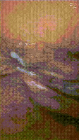 偷拍全网首发《顶级厕拍》手持贴逼抄底大学生舞蹈生全是嫩逼「某房原版」合集《22.3G+165V》百度