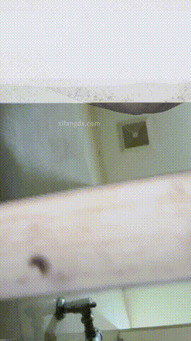 偷拍全网首发《顶级厕拍》手持贴逼抄底大学生舞蹈生全是嫩逼「某房原版」合集《22.3G+165V》百度