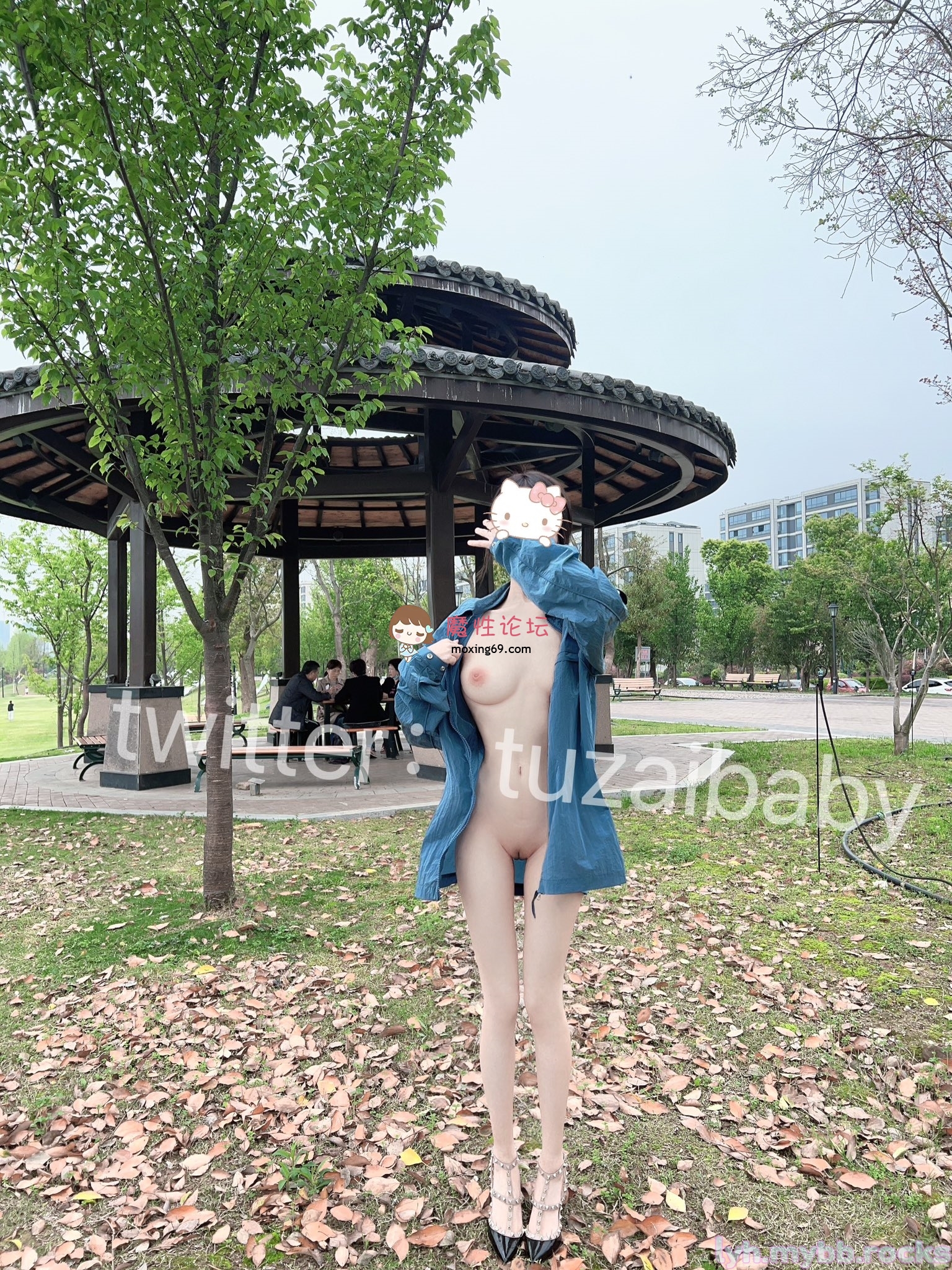 国产自拍tuzaibaby（兔崽）推特长短视频大合集 《百度云》《77V 55p12G》