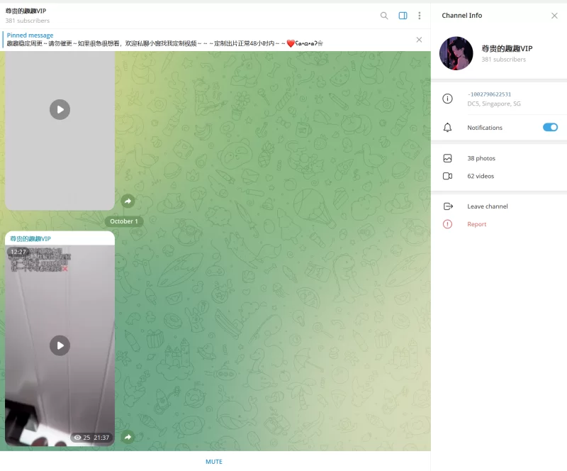 趣趣（猫猫碎冰冰）10月1号最新作 telegram自购 无多余水印 [1v-260MB]