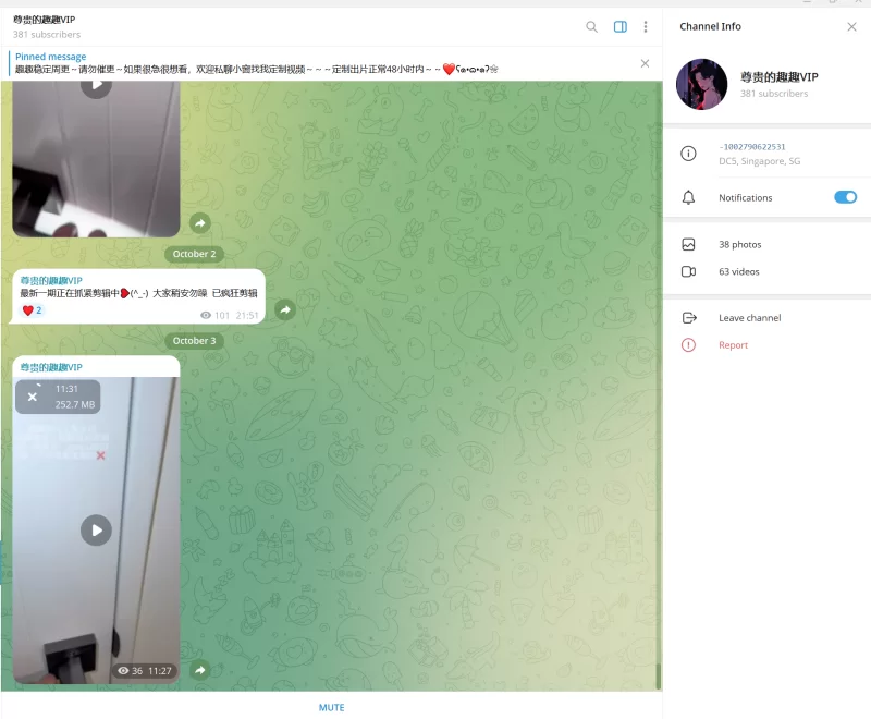 趣趣（猫猫碎冰冰）10月3号最新作 telegram自购 无多余水印 [1V-253MB]