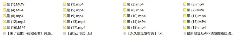 黑丝合集自整理 [20v-1.6GB]