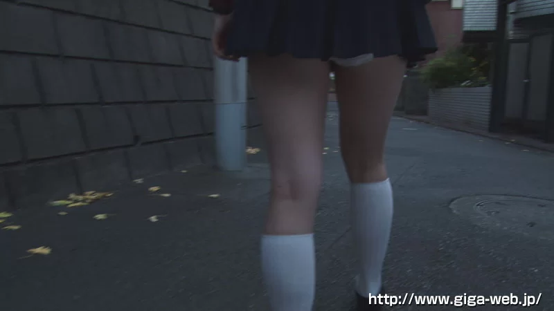 GGTB-29  giga原档高清1080P+6000kbps带外挂字幕版 [3V-3.5GB]