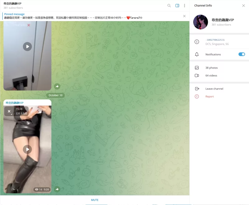 趣趣（猫猫碎冰冰）10月10号最新作 telegram自购 无多余水印 [1V-339MB]