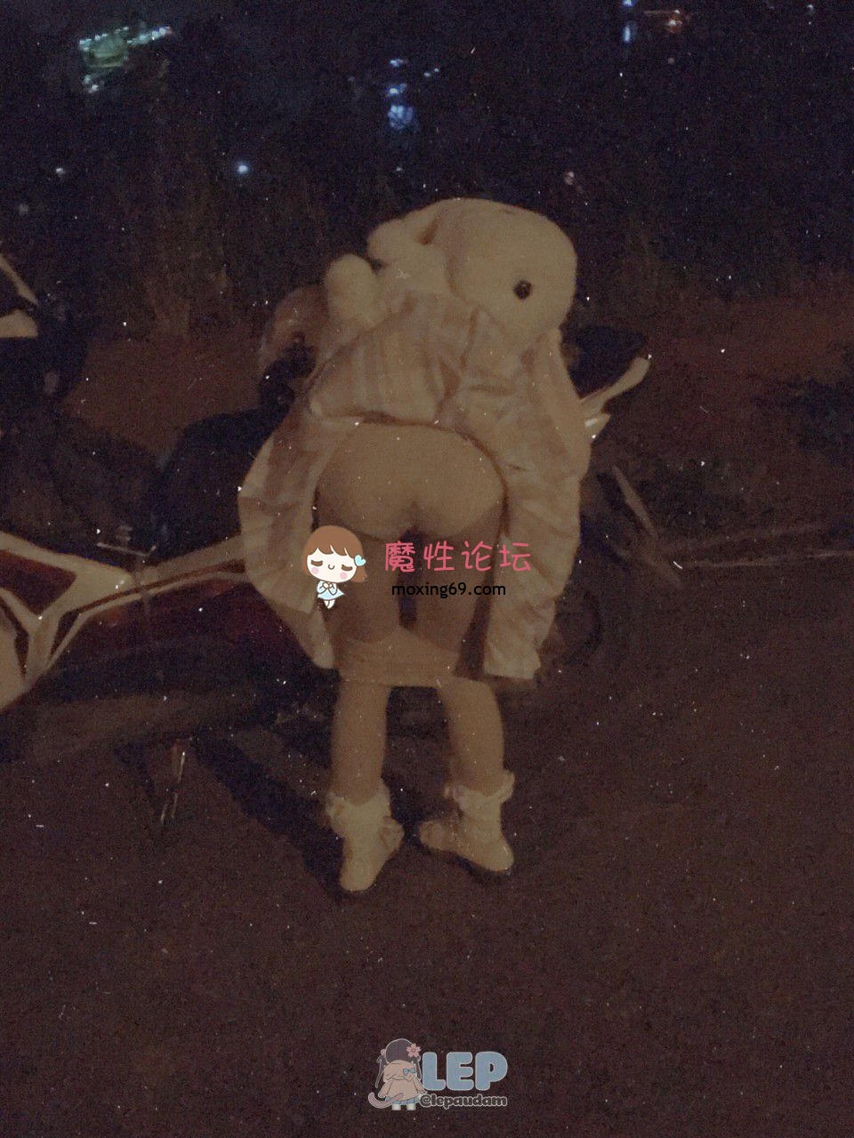 国产自拍福利姬Lepaudam（LepALuli2kVN）合集  NV-NP-14G 夸克云