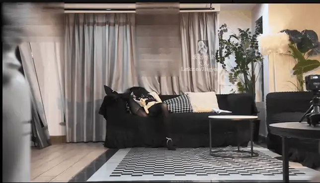 「犬九」《被凌辱的同学妈妈》丝袜人母胁迫深喉内射足交 [1V-1.25GB]