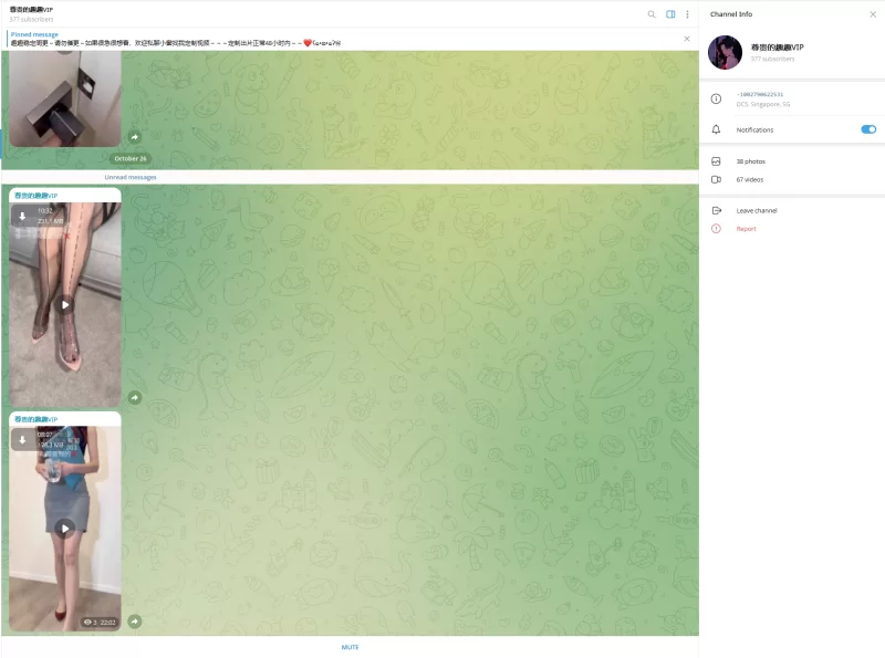 趣趣（猫猫碎冰冰）10月26号新增2V telegram自购 无水印 [2v-410MB]