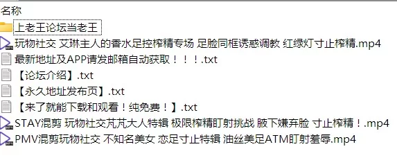 玩物套路芃芃艾琳不知名剪辑足控羞辱调教配文 [3V-445MB]