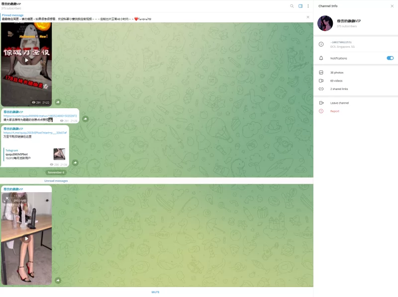趣趣（猫猫碎冰冰）11月6号新作 telegram自购 无第三方水印 [1v-280MB]