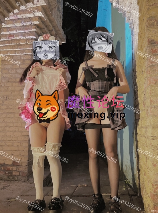 福利叶子 推特合集 461P+85V-3.39G  《百度云》