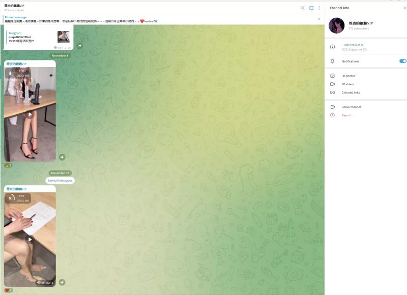 趣趣（猫猫碎冰冰）11月13号新作 telegram自购 无第三方水印 [1v-260MB]