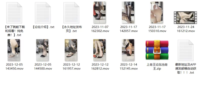 B站 孙圆圆定制2023年资源 [38V-101GB]