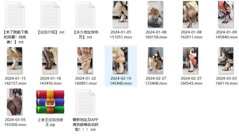 B站 孙圆圆定制2024年上半年资源 [NV-143GB]