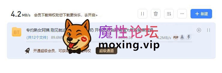 国产自拍专约熟女阿姨 刚见就迫不及待舌吻揉奶 开档肉丝自慰调情大屁股骑乘猛操《1V-1.01G-BT种子》