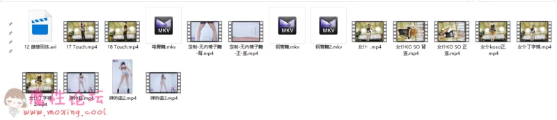 甄妮可可大尺度舞蹈分享[17V4.09GB][百度盘] [-]