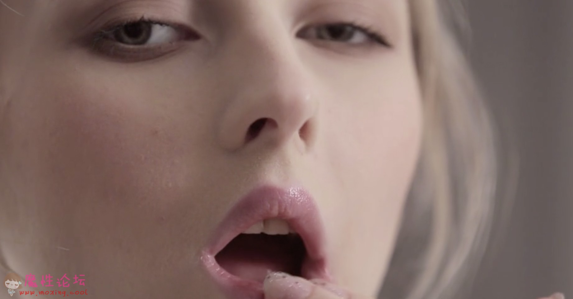 《申精》欧美Tushy、publicagent、Mofos高颜值女主精选视频合集打包[92V-46G][度盘]