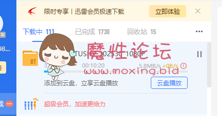 [TUSHY]高清20210210Rebellious娃娃脸金丝猫爱走后门《2V11G》《BT》