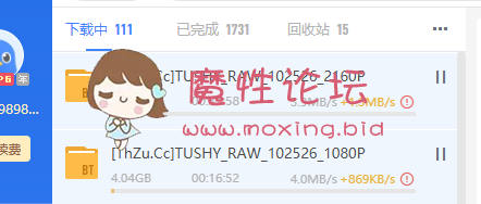 [TUSHY]高清20210206DoubleTreat3P**花《2v12g》《BT》