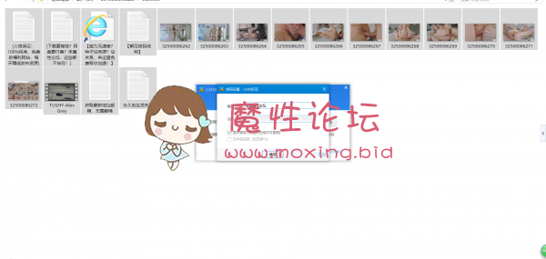 《自行打包》TUSHY-Alex Grey力作《1V-3.43G》《百度盘》