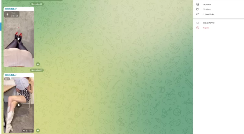 趣趣（猫猫碎冰冰）11月29号新作 telegram自购 无第三方水印 [1V-136MB]